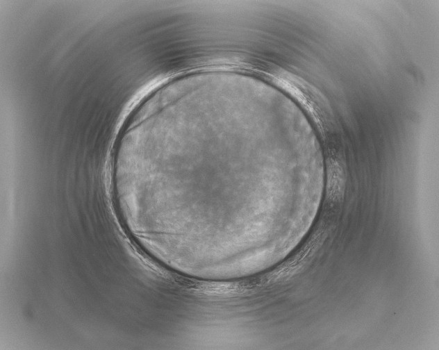 X0000115341474200912141229