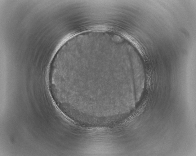 X0000115341475200912141229