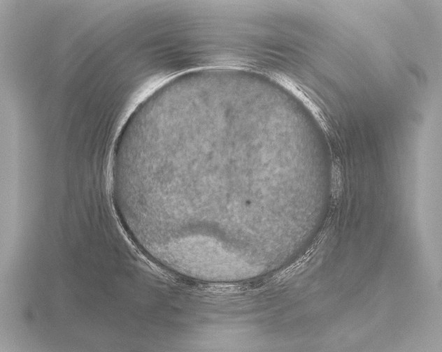 X0000115341477200912141229