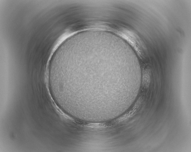 X0000115341478200912141229