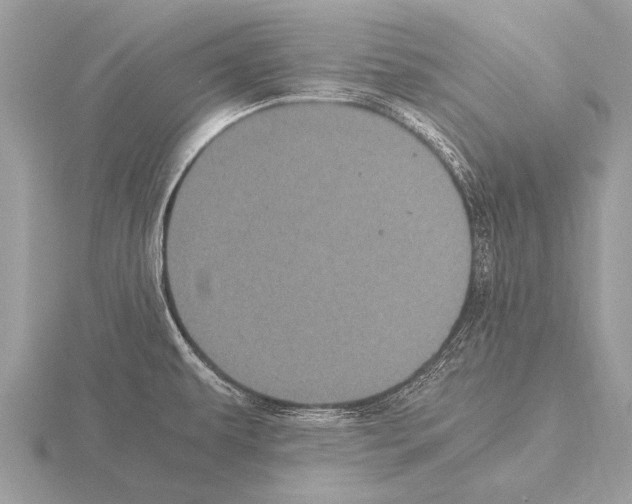 X0000115341479200912141229