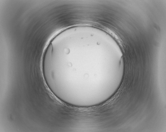 X0000115341480200912141229