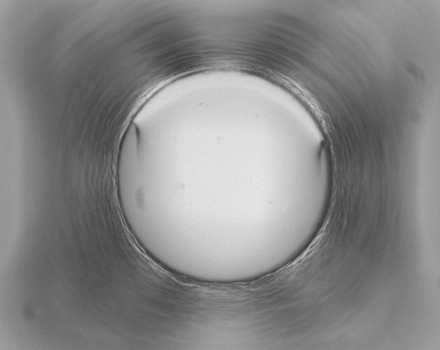 X0000115341481200912141229