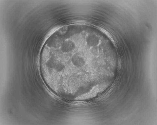 X0000115341482200912141229