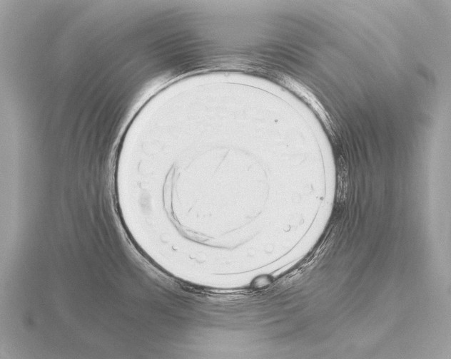 X0000115341483200912141229