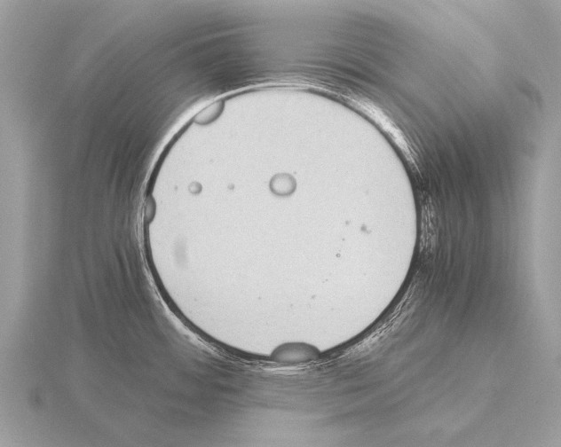 X0000115341484200912141229