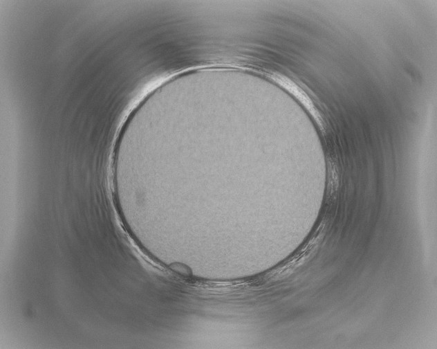 X0000115341485200912141229