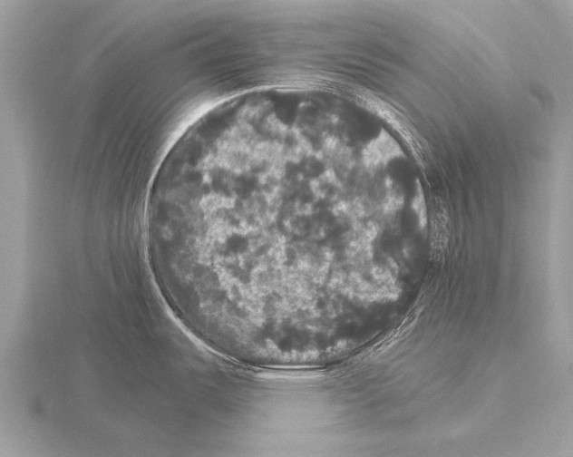 X0000115341487200912141229