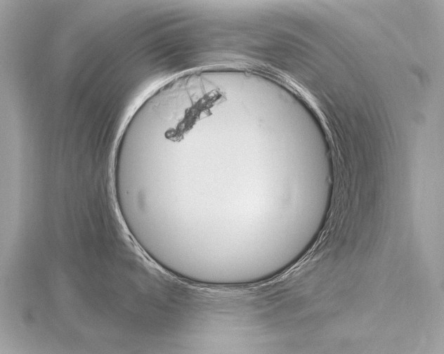 X0000115341488200912141229