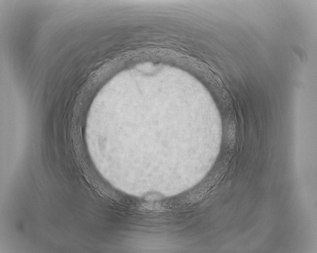 X0000115341489200912141229