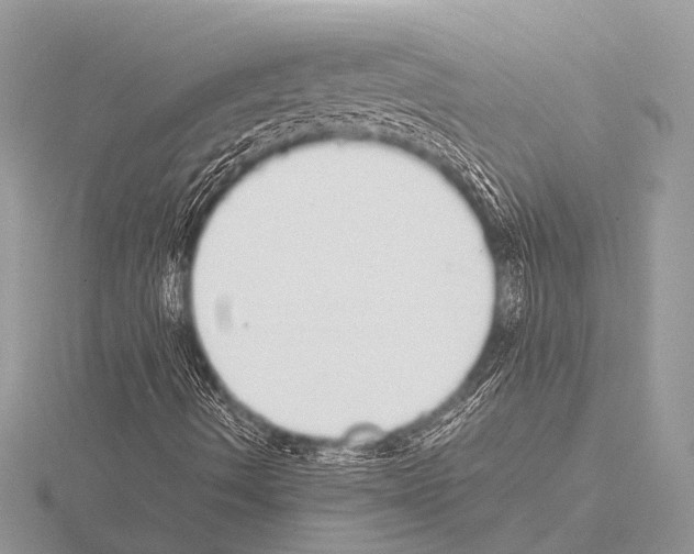 X0000115341490200912141229