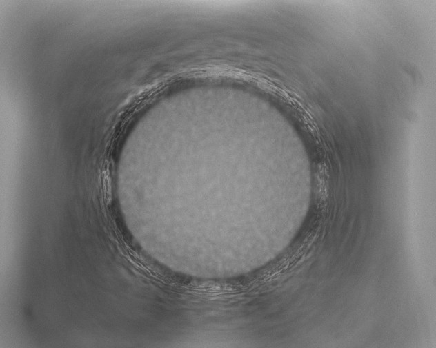 X0000115341493200912141229