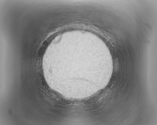 X0000115341494200912141229