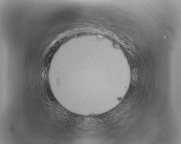 X0000115341495200912141229