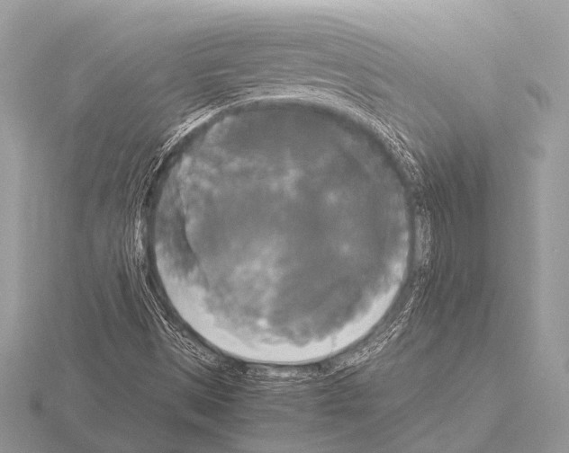 X0000115341497200912141229