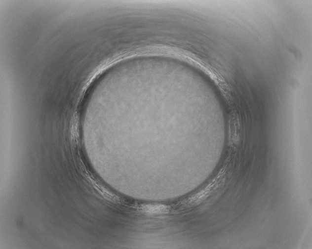 X0000115341498200912141229