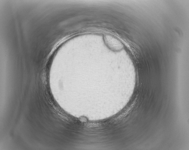 X0000115341501200912141229