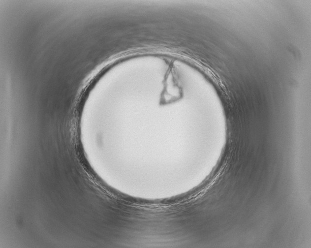 X0000115341502200912141229