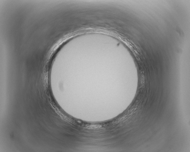 X0000115341503200912141229