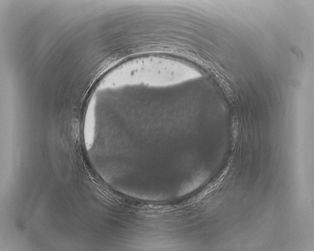 X0000115341505200912141229