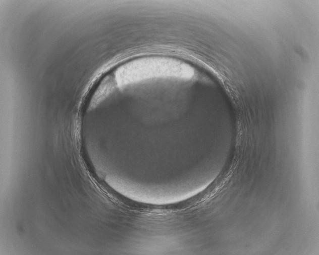 X0000115341506200912141229