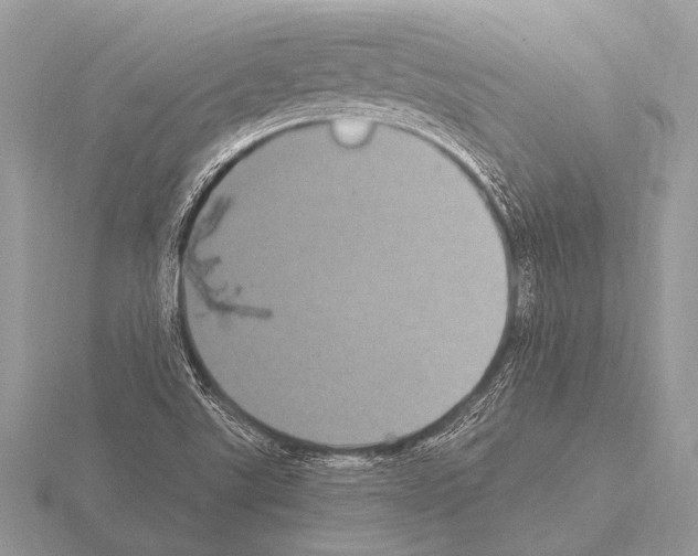 X0000115341507200912141229