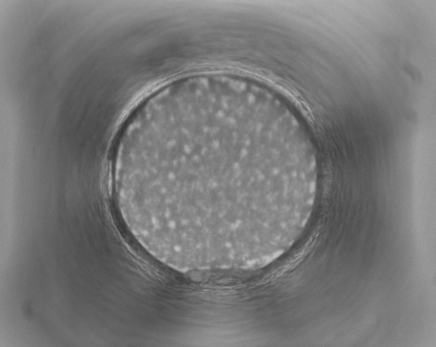 X0000115341509200912141229