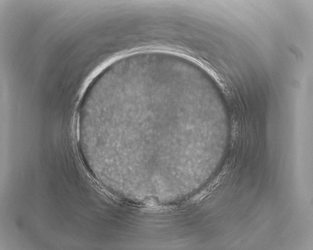 X0000115341510200912141229