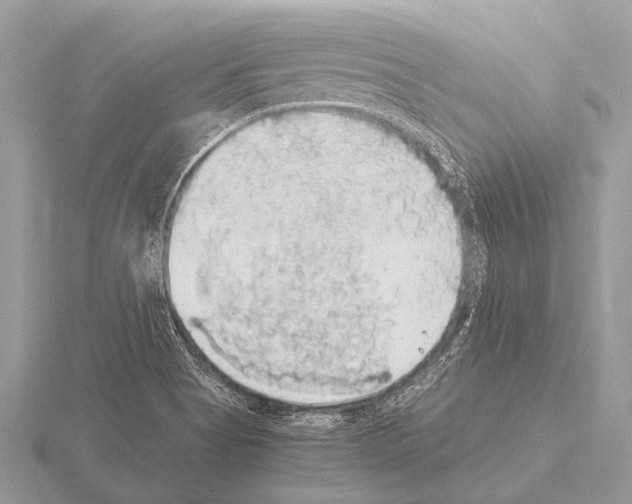 X0000115341513200912141229