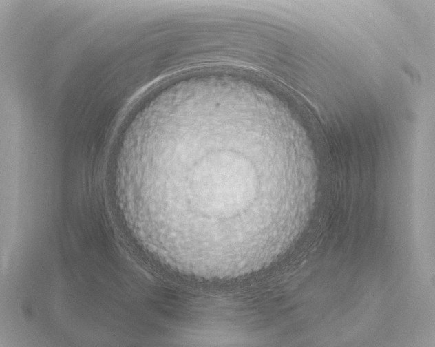 X0000115341514200912141229