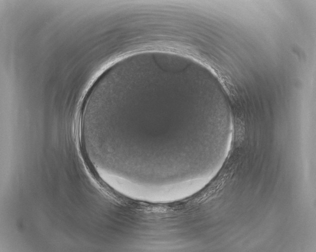 X0000115341515200912141229