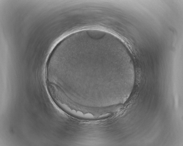 X0000115341519200912141229