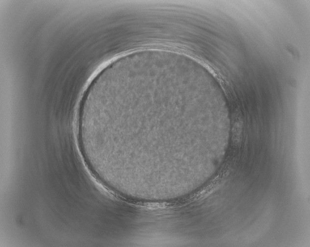 X0000115341523200912141229