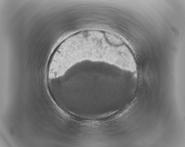 X0000115341525200912141229