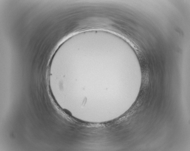 X0000115341526200912141229