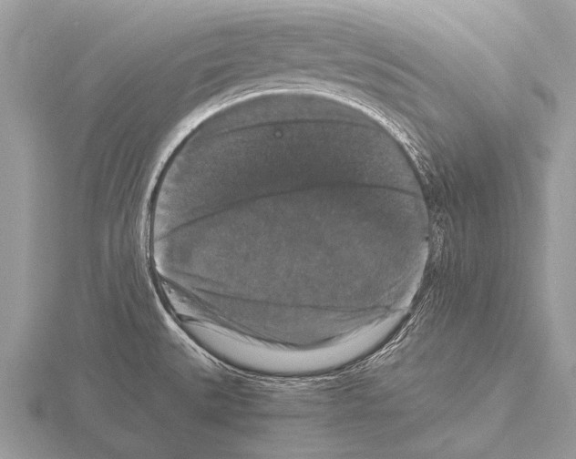 X0000115341527200912141229