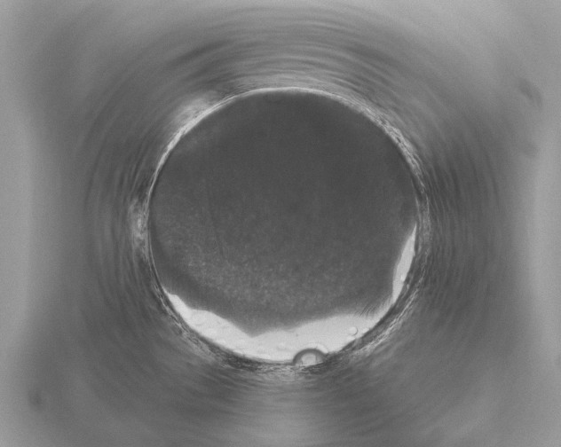 X0000115341529200912141229