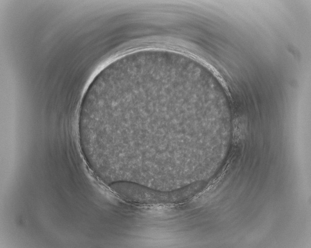 X0000115341530200912141229