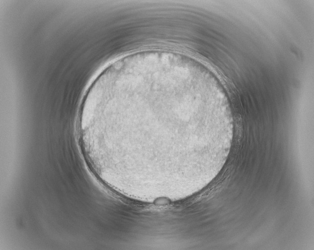 X0000115341531200912141229