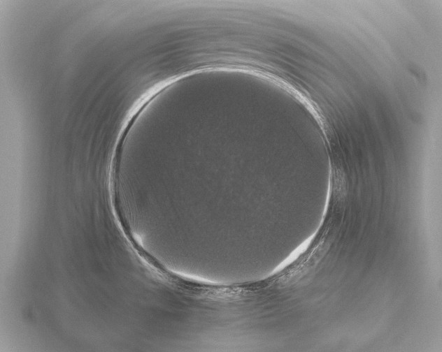 X0000115341533200912141229