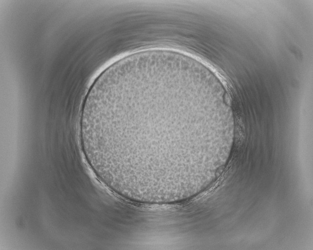 X0000115341534200912141229