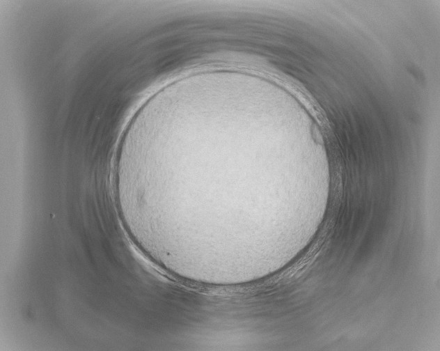 X0000115341535200912141229