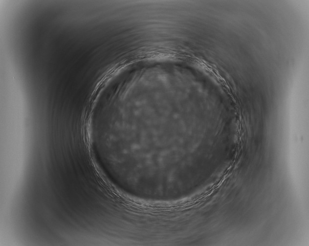 X0000115350002200911101145