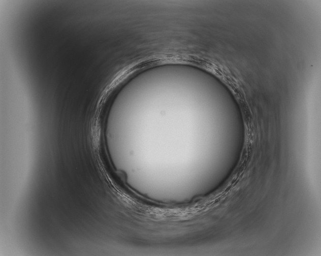 X0000115350005200911101145