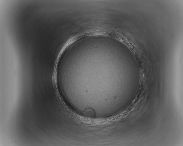 X0000115350006200911101145