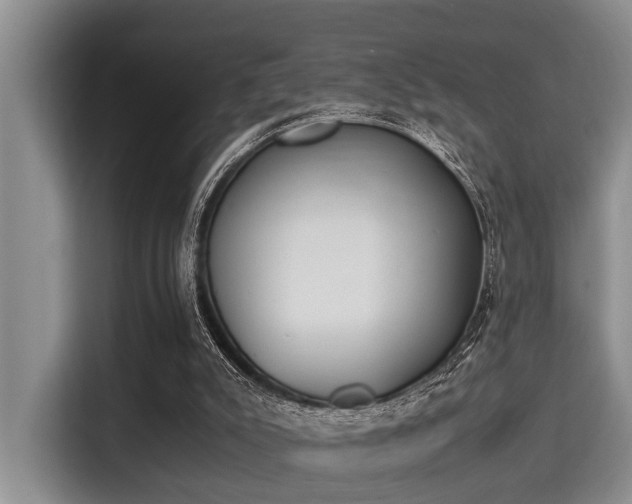 X0000115350007200911101145