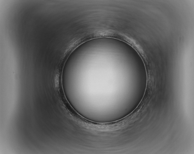 X0000115350010200911101145