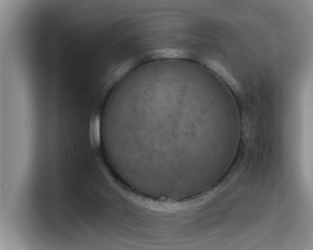 X0000115350014200911101145