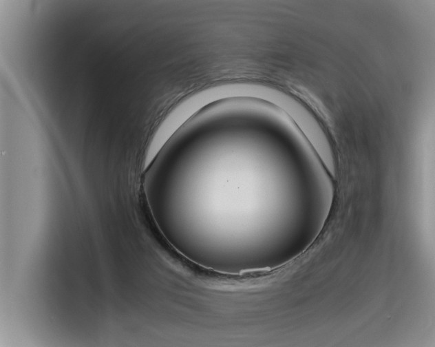 X0000115350017200911101145