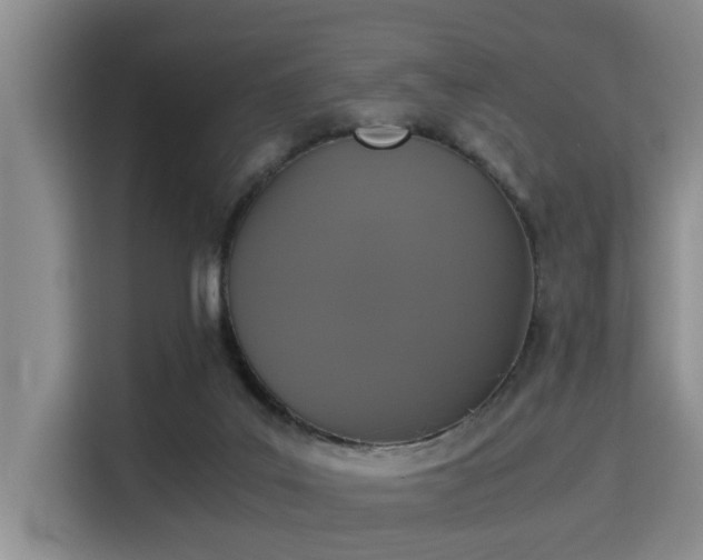 X0000115350019200911101145